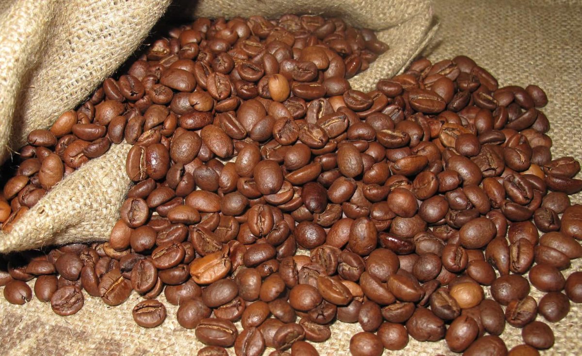 Sierra del café: una experiencia natural
