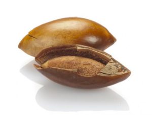 mamey