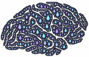 brain-962650_1280