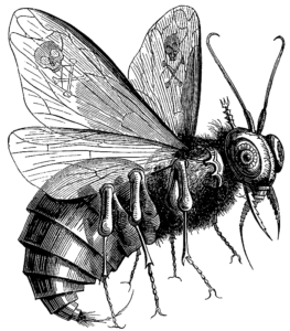 beelzebub