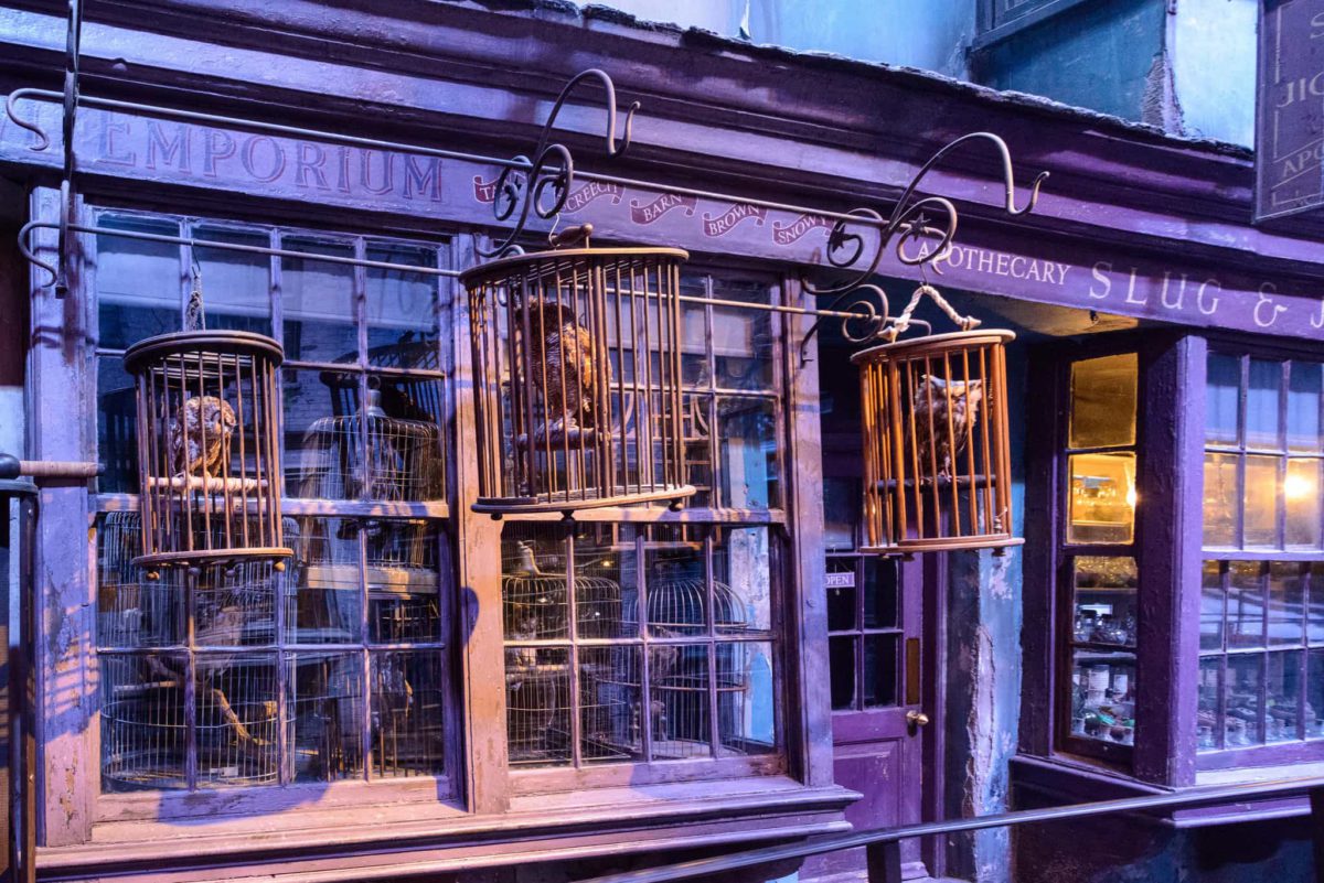 Animales Fantásticos y Dónde Encontrarlos: regresa la magia de Rowling