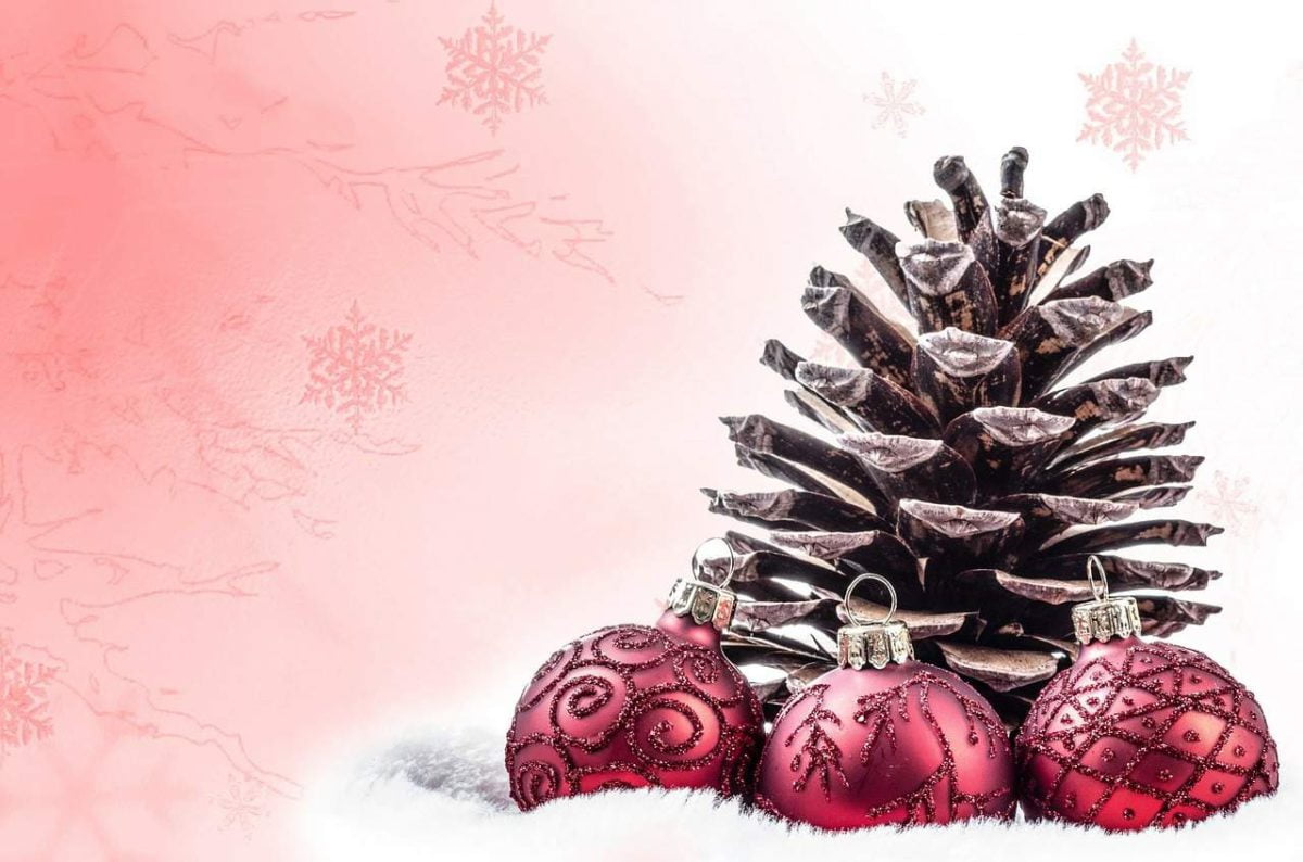 De parte de todo el equipo de la Revista Insolente te deseamos una feliz Navidad