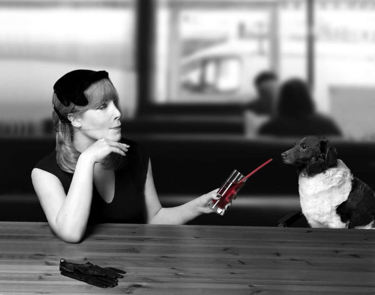 ¿Sigues alimentando a tu perro con comida casera y con sobras? Esto te interesa