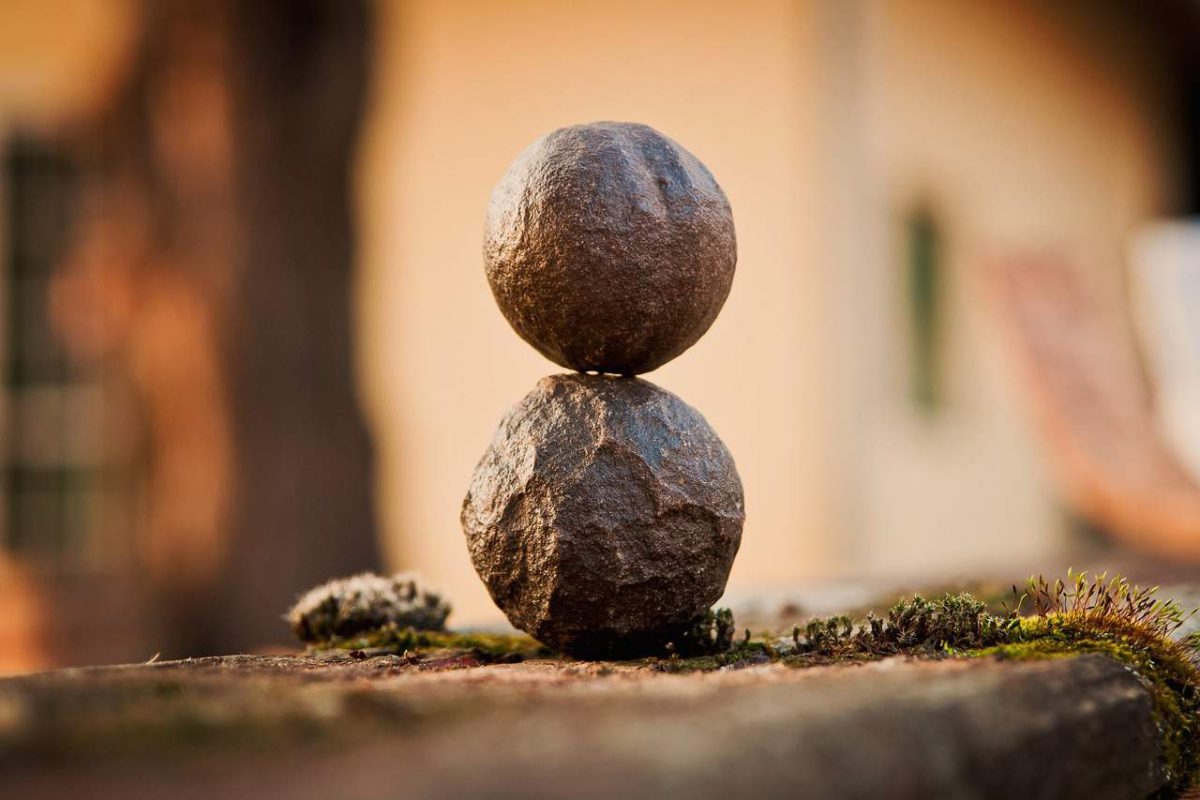 Un solo día puede cambiar tu vida: Global Wellness Day