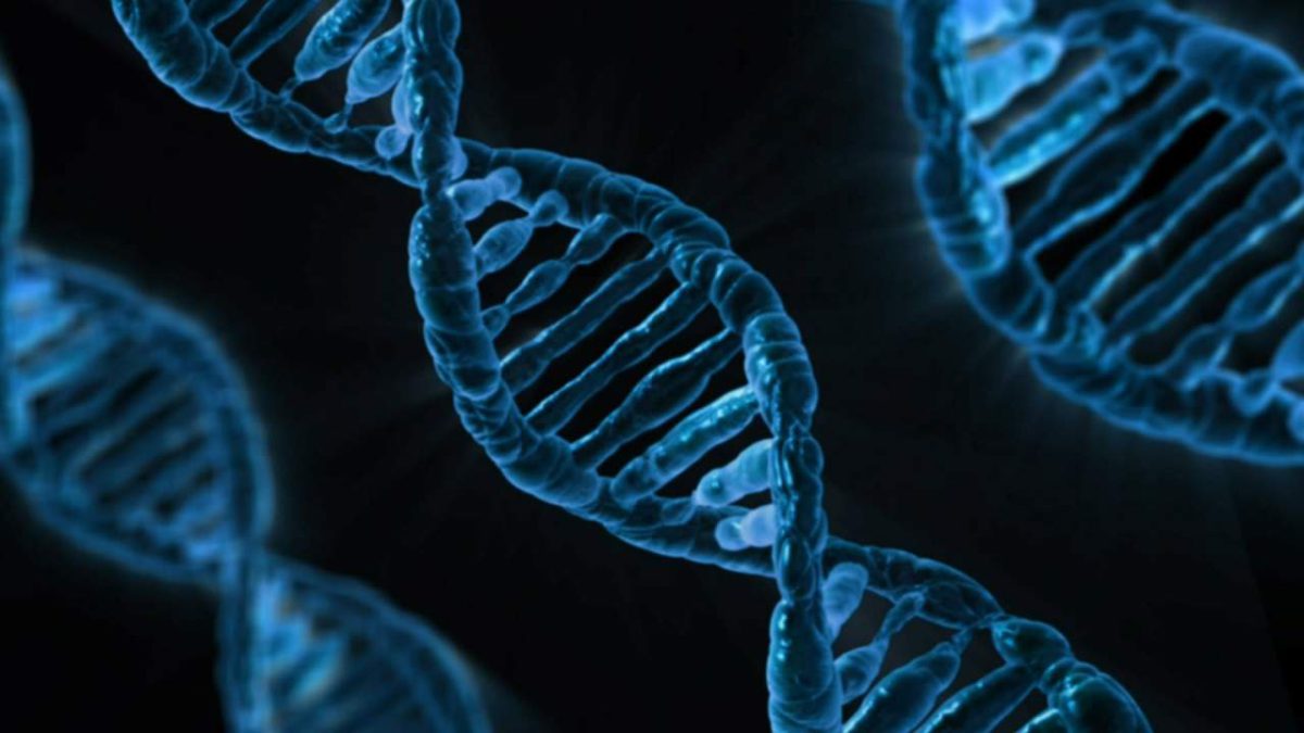 Hackers insertan malware en código de ADN