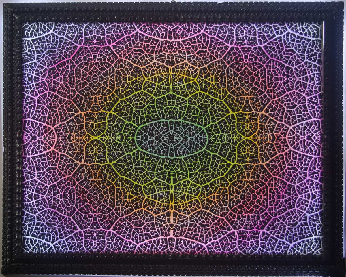 Piqueras Bertie, arte con movimiento, brillo, luz y color
