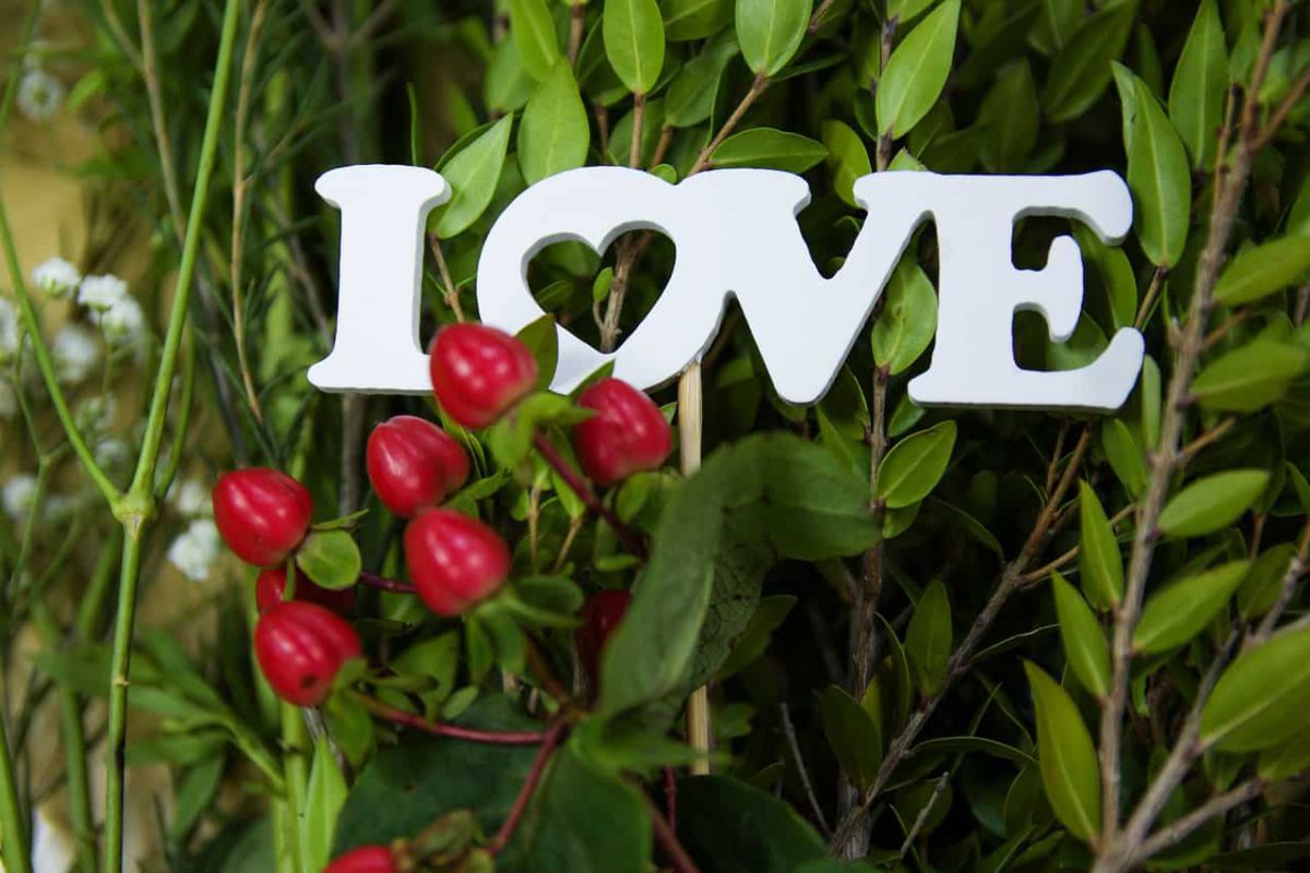 7 originales regalos para enamorar a un novi@ green trendy