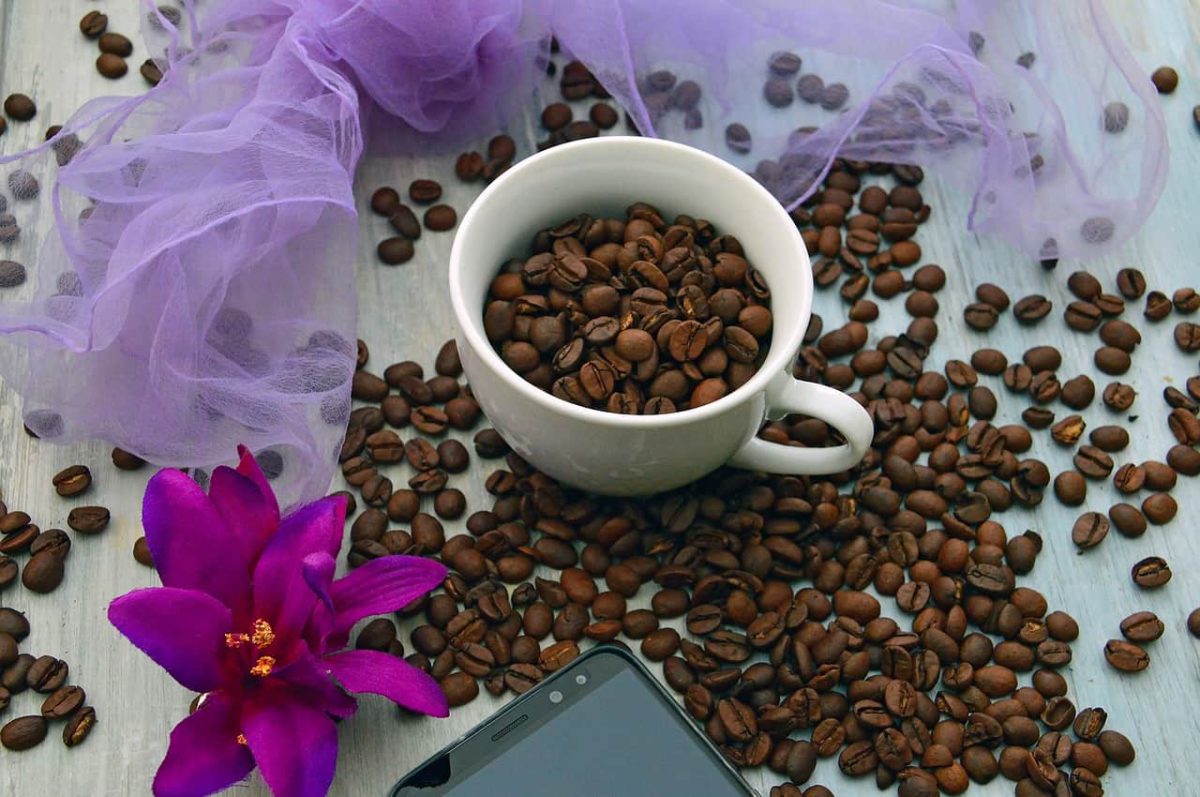 ¡Cafeinómanos!, llegaron al mercado unas donas de café