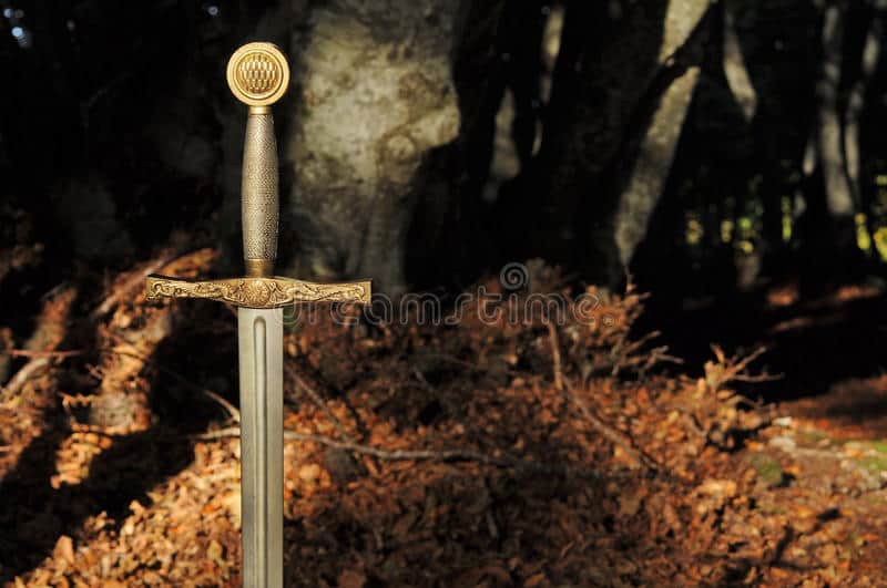 DECLARACIÓN DEL CABALLERO DE LOS BOSQUES