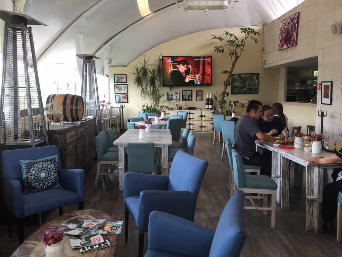 El lugar perfecto para descansar, comer y ser feliz está en la Condesa