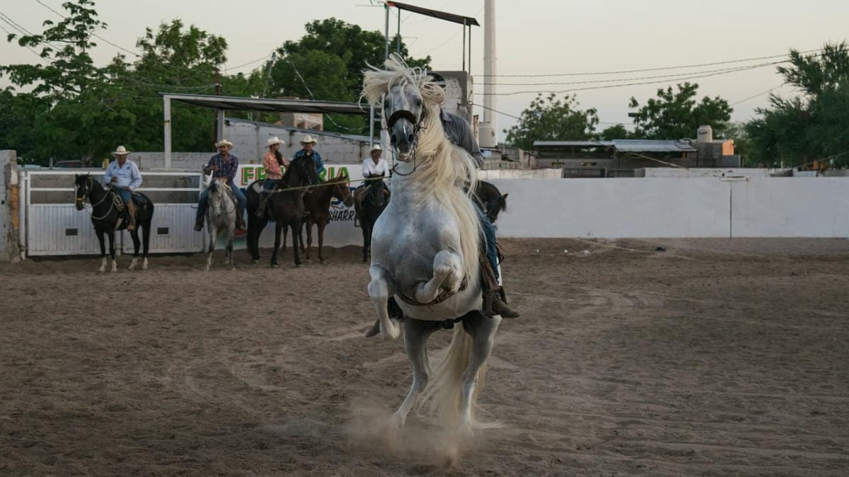 Una charreada de gala que te convierte en el héroe de los niños