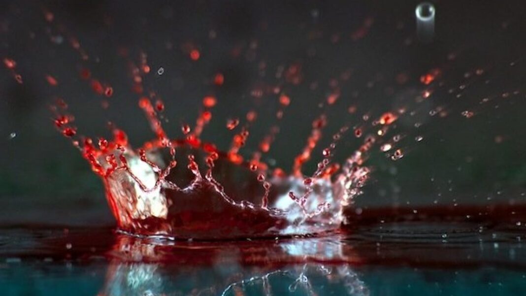 httpstved-prod.adobecqms.netcontentdameditorialTelevisamexicomuyinteresantemxnaturaleza151119lluvia-sangrienta.imgo_-1280x720