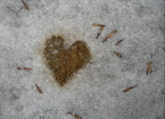 Corazones