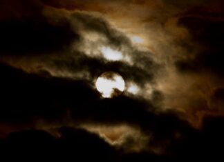 Mi sol