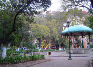 En el parque