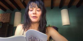 “Sortilegios el viento” de Inés Ferrero Cándenas: Seis poemas seleccionados